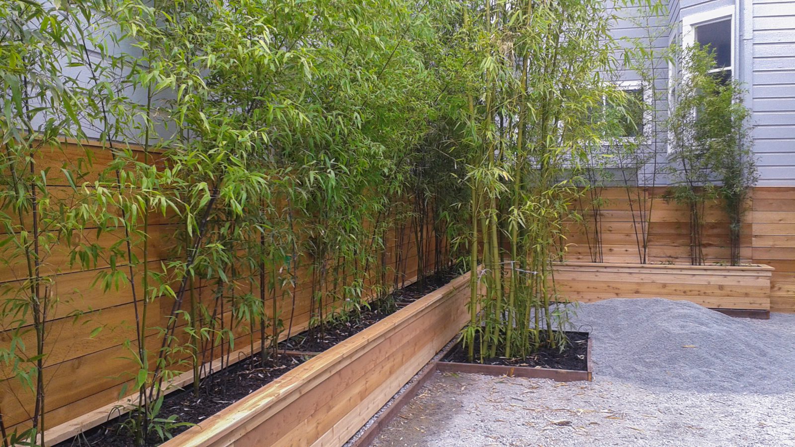 Containers & Planter Boxes for Bamboo - Bamboo Sourcery Nursery & Gardens